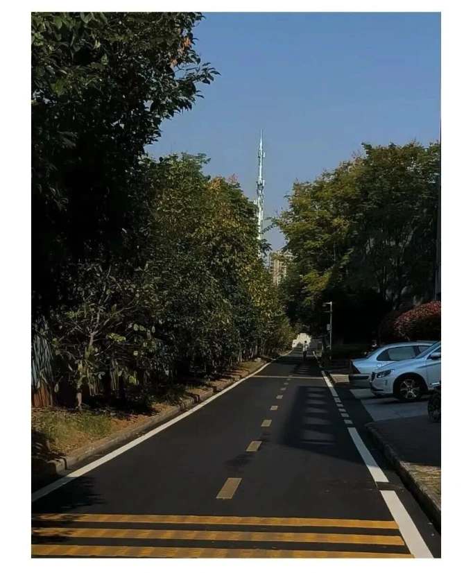 文章中记录的校园旧照